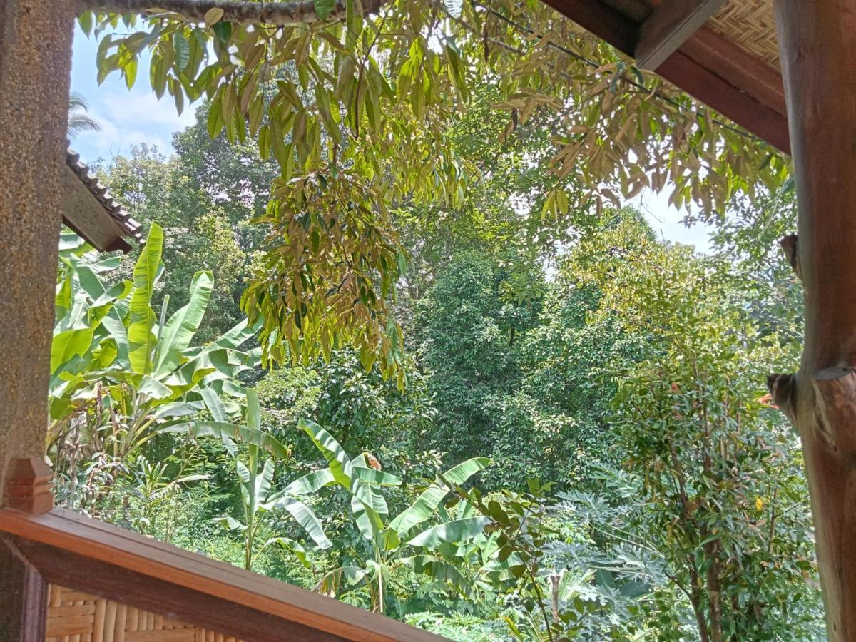 Pabean Buleleng Buda'S Homestay Lemukih מראה חיצוני תמונה