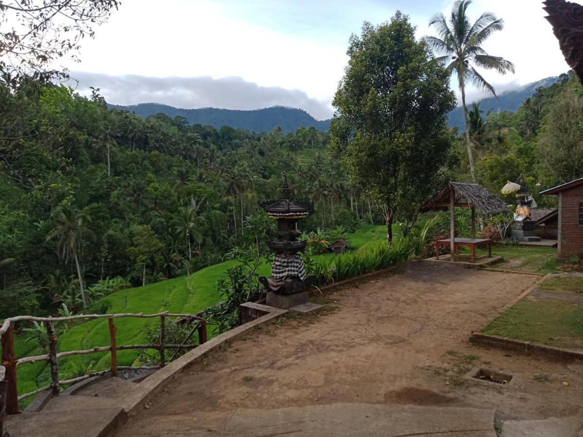 Pabean Buleleng Buda'S Homestay Lemukih מראה חיצוני תמונה
